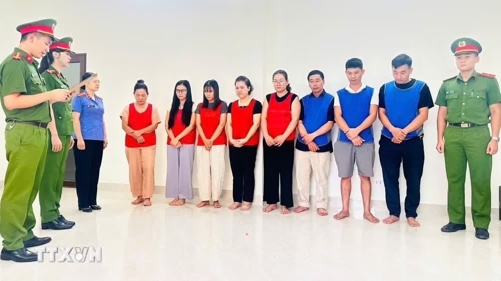Cty Tami Natural Home,  DN Tami Natural Home,  Gđốc Tami Natural Home,  thuốc An Cung giả,  quy m&ocirc; lớn ảnh 3