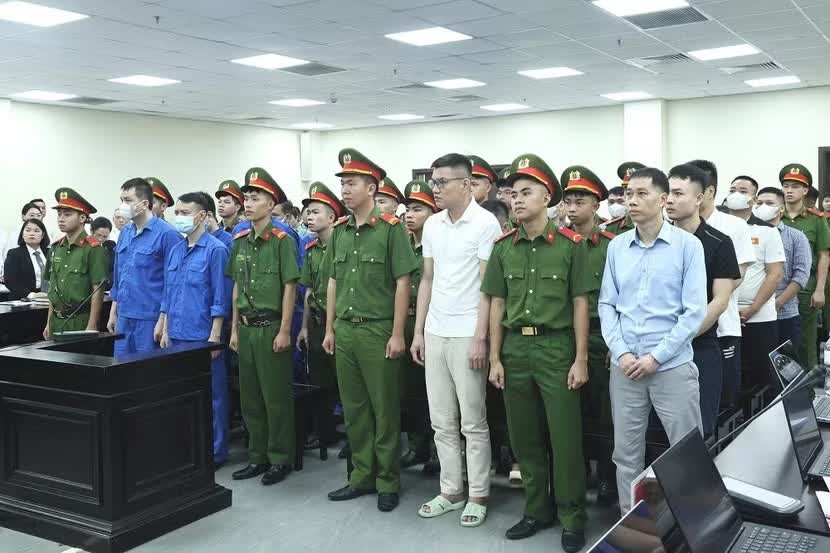 Vũ Mạnh Cường,  Cty Dược Quốc tế,  C&ocirc;ng ty Rance Pharma,  C&ocirc;ng ty Hacofood ảnh 2