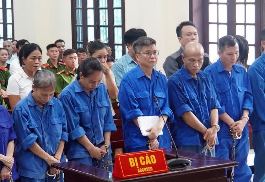 Nguyên Tổng giám đốc Công ty CP Đồ hộp Hạ Long lĩnh án 19 năm tù