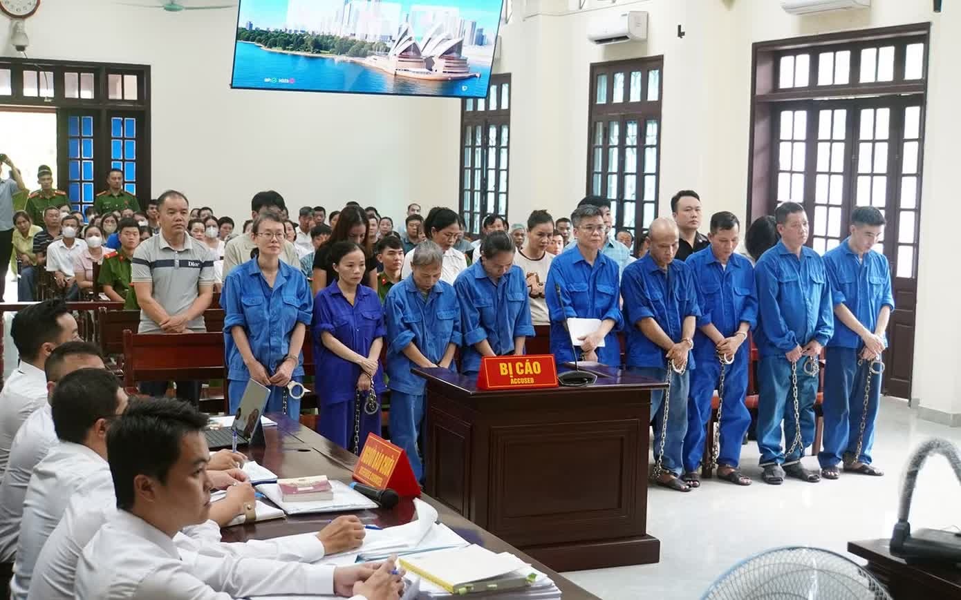 Đồ hộp Hạ Long,  C&ocirc;ng ty Hạ Long,  Doanh nghiệp Hạ Long,  Gi&aacute;m đốc đồ hộp,  Gi&aacute;m đốc Hạ Long ảnh 1
