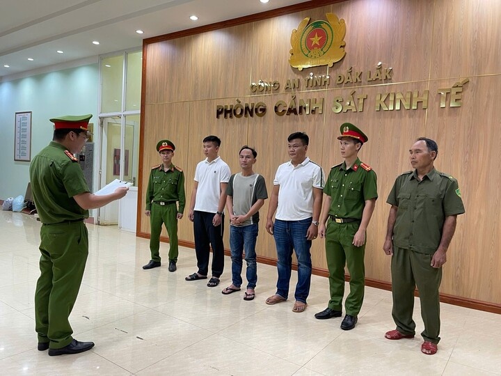Cty Con Ngựa Xanh,  XNK Con Ngựa Xanh,  NV Con Ngựa Xanh,  Gđốc Con Ngựa Xanh,  DN Con Ngựa Xanh,  Ph&acirc;n b&oacute;n giả,  Ph&acirc;n b&oacute;n Kh&aacute;nh Thư ảnh 2