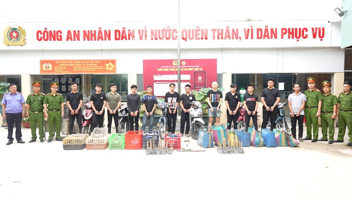 đường d&acirc;y trộm,  ti&ecirc;u thụ,  2.700 con m&egrave;o ảnh 1