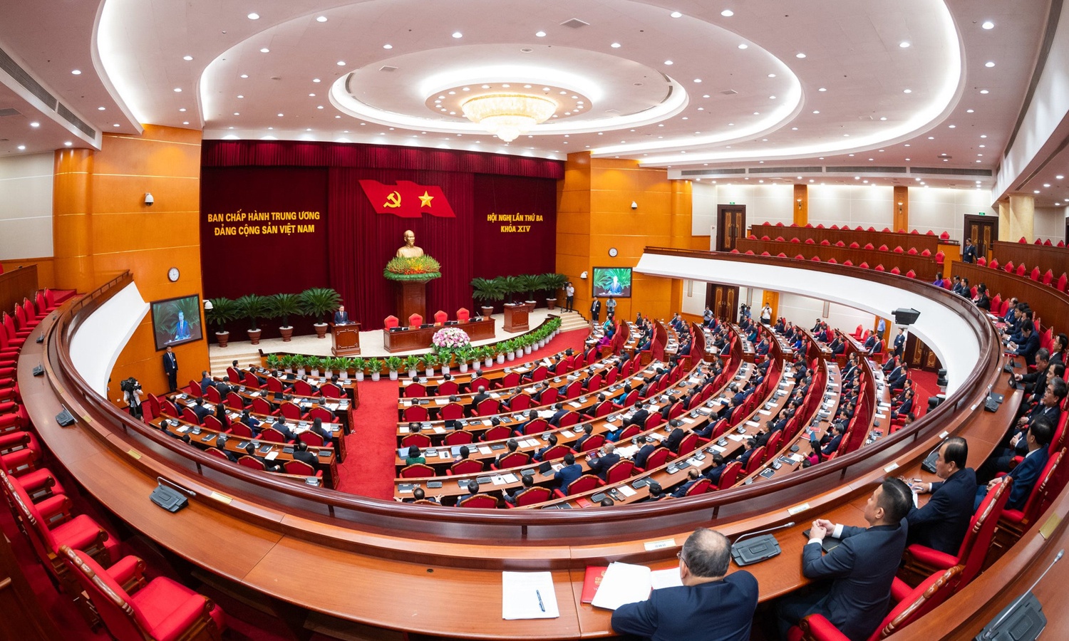 đề xuất đặc biệt ảnh 1