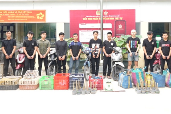 Bắt tạm giam 12 người trong đường dây trộm, tiêu thụ 2.700 con mèo