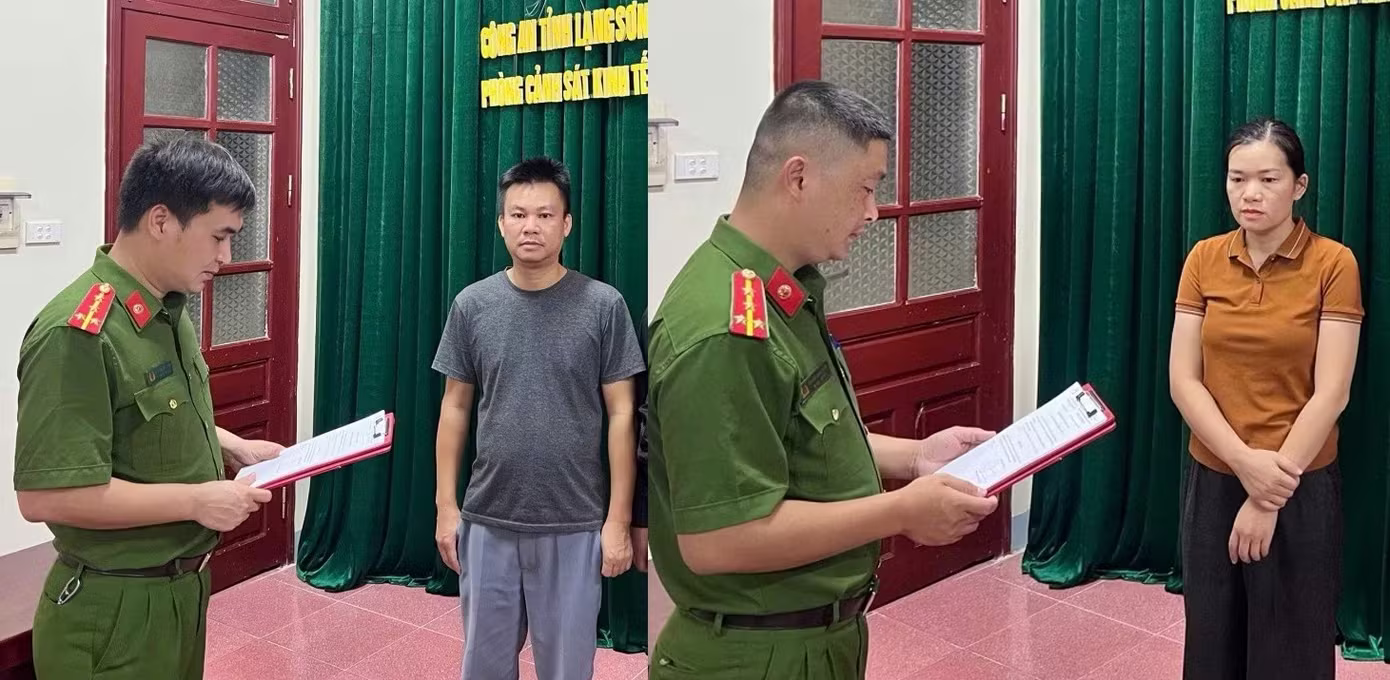 m&ocirc;i trường ảnh 1
