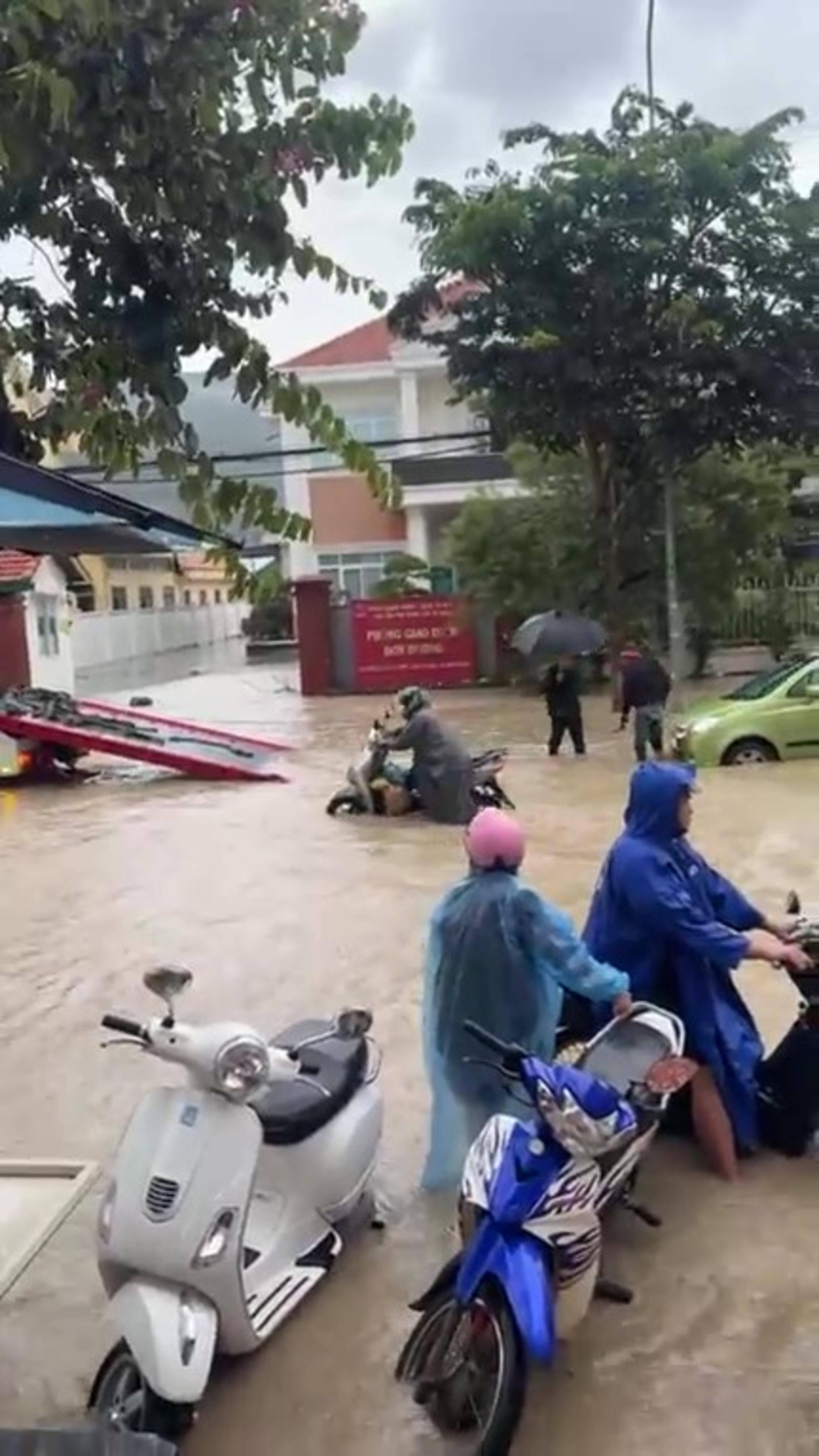 mưa đ&aacute; ảnh 2