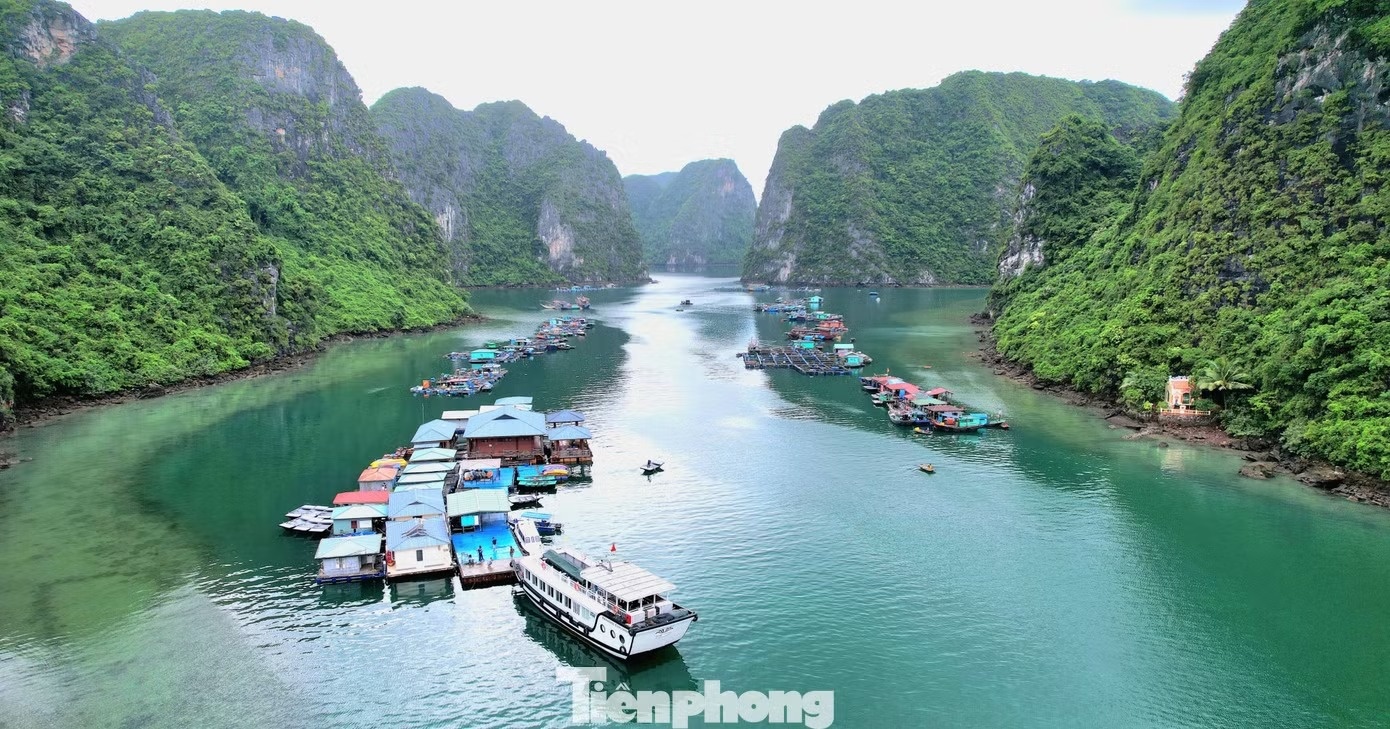 vịnh Hạ Long ảnh 1