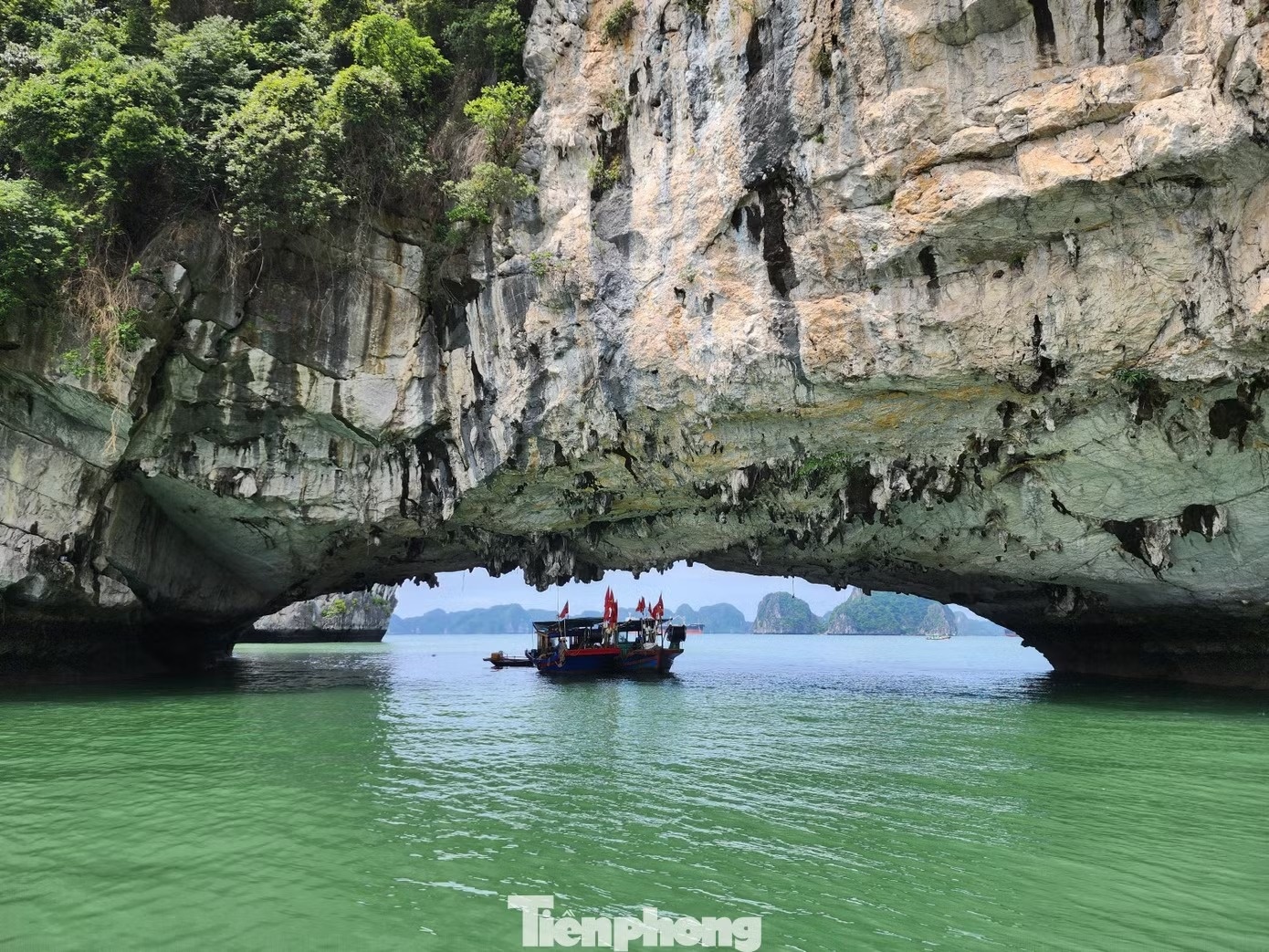 vịnh Hạ Long ảnh 2