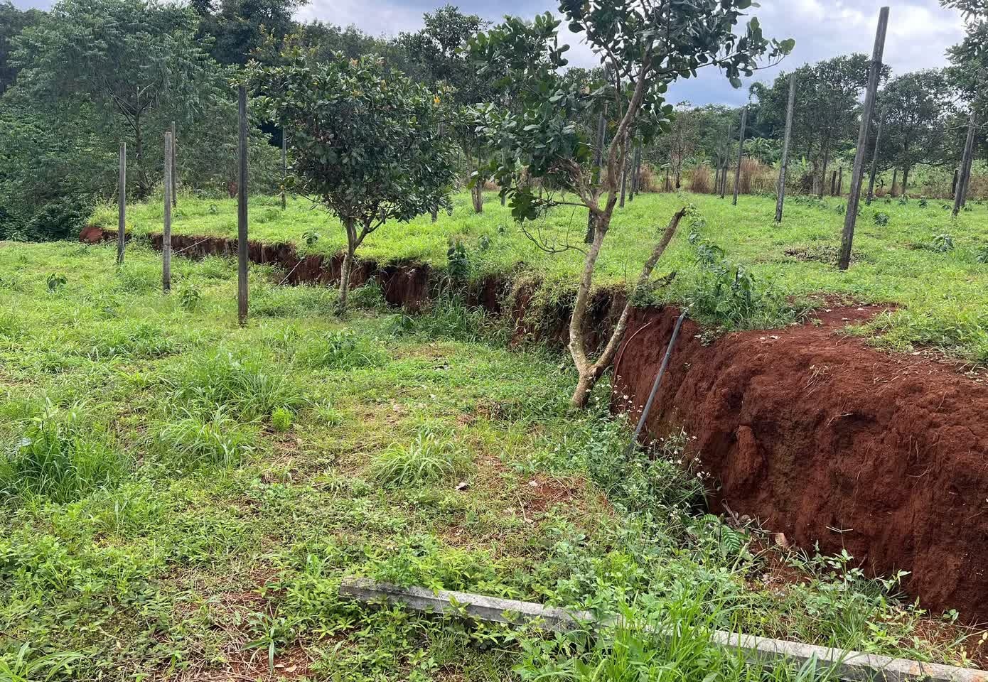 Đất nứt toác, sụt lở dài hàng km ở Gia Lai