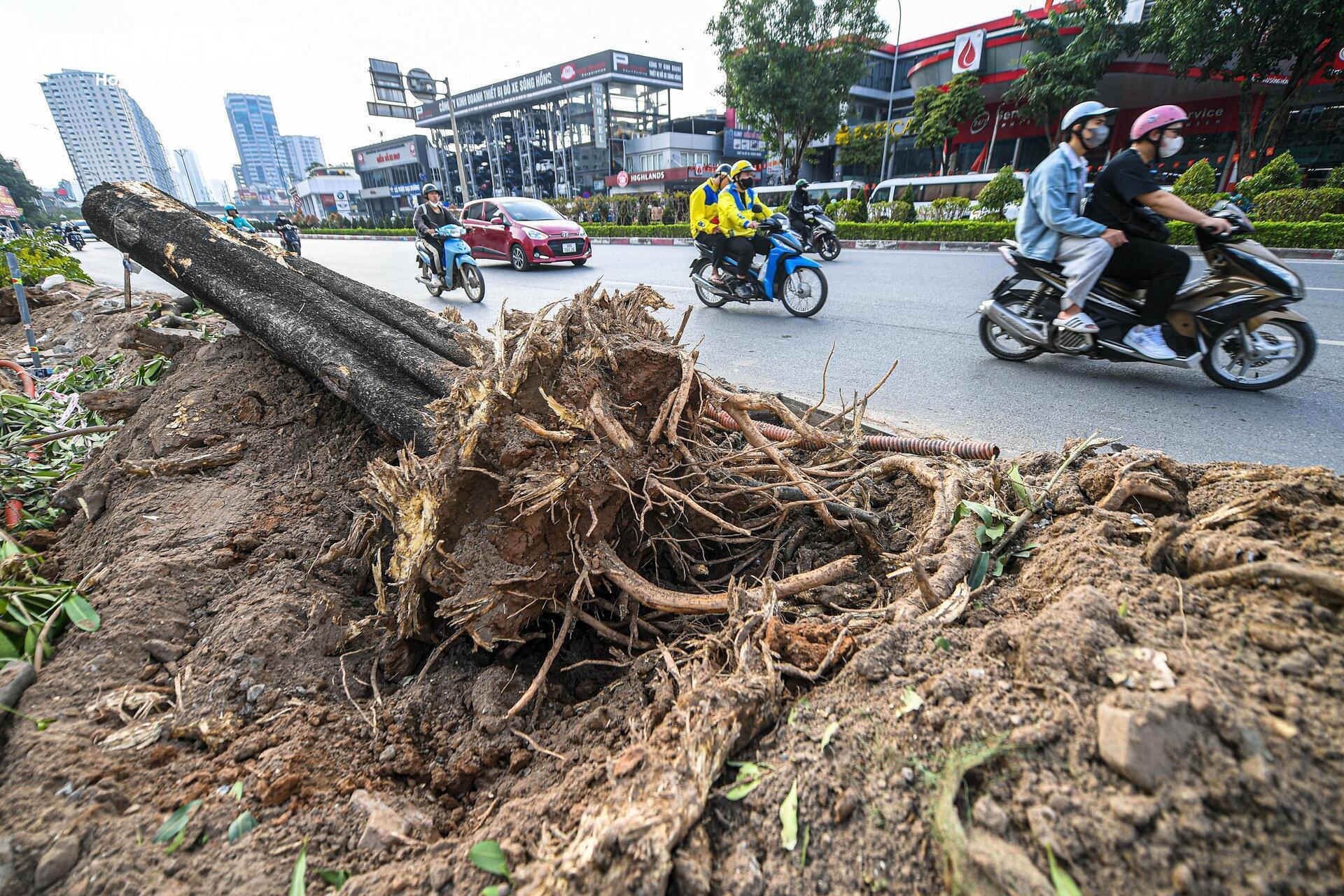 Hà Nội yêu cầu hạn chế chặt cây xanh khi mở đường, xén dải phân cách