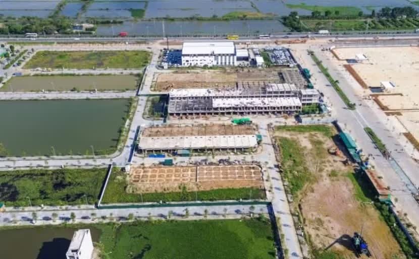 Bầu Đệ,  Dự &aacute;n Quảng Th&agrave;nh,  Bầu Đoan,  Nguyễn Văn Đệ,  Cao Tiến Đoan,  Vietcombank Thanh H&oacute;a,  Gi&aacute;m đốc Vietcombank,  Đấu gi&aacute; Lam Sơn ảnh 2