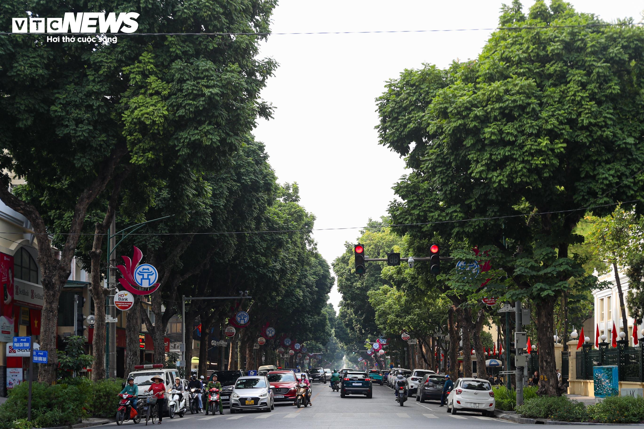 h&agrave; nội trồng c&acirc;y ảnh 1