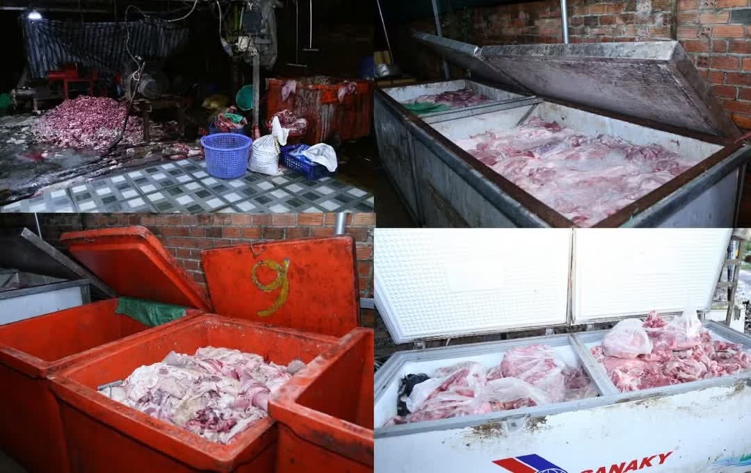 400 tấn, heo bệnh chết, Thị trường ảnh 3 400 tấn, heo bệnh chết, Thị trường ảnh 3