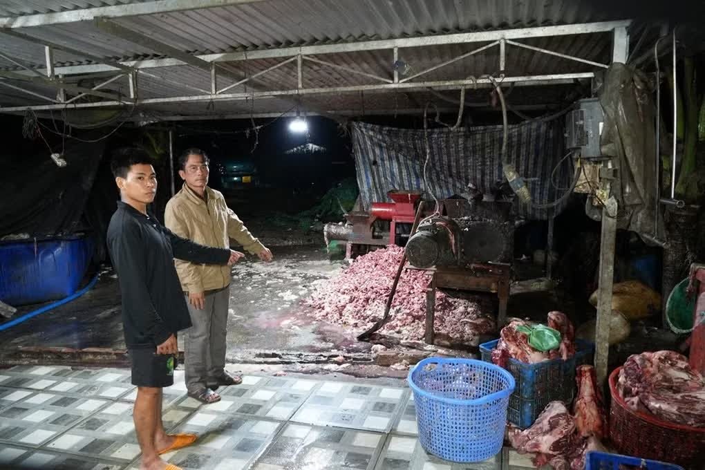 400 tấn, heo bệnh chết, Thị trường ảnh 2 400 tấn, heo bệnh chết, Thị trường ảnh 2