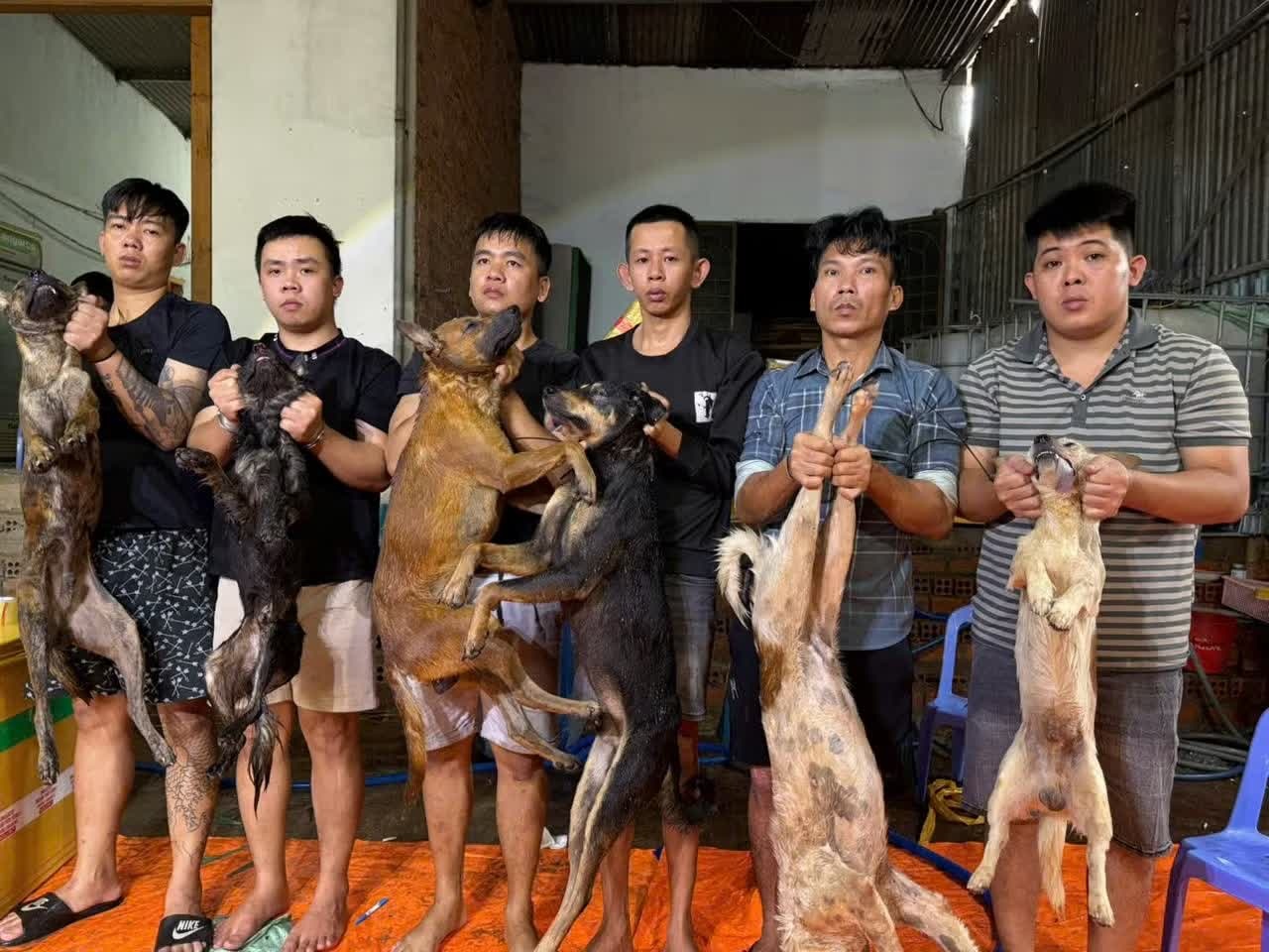 đường d&acirc;y trộm ch&oacute; ảnh 3