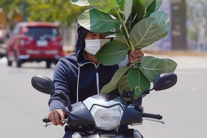 TP.HCM có thể tăng 110 ngày nắng nóng, quy hoạch cần tính trước rủi ro