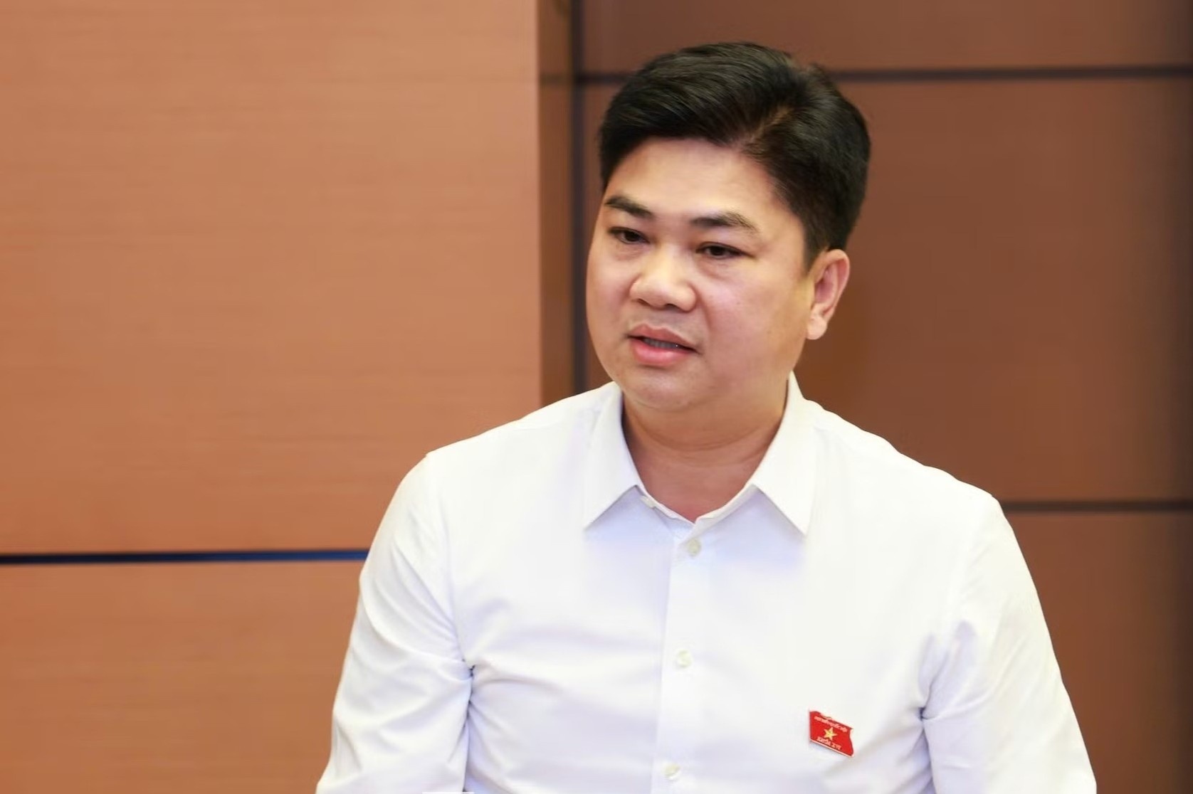 Cần quy định rõ tiêu chí trường hợp hoãn, miễn truy cứu trách nhiệm hình sự