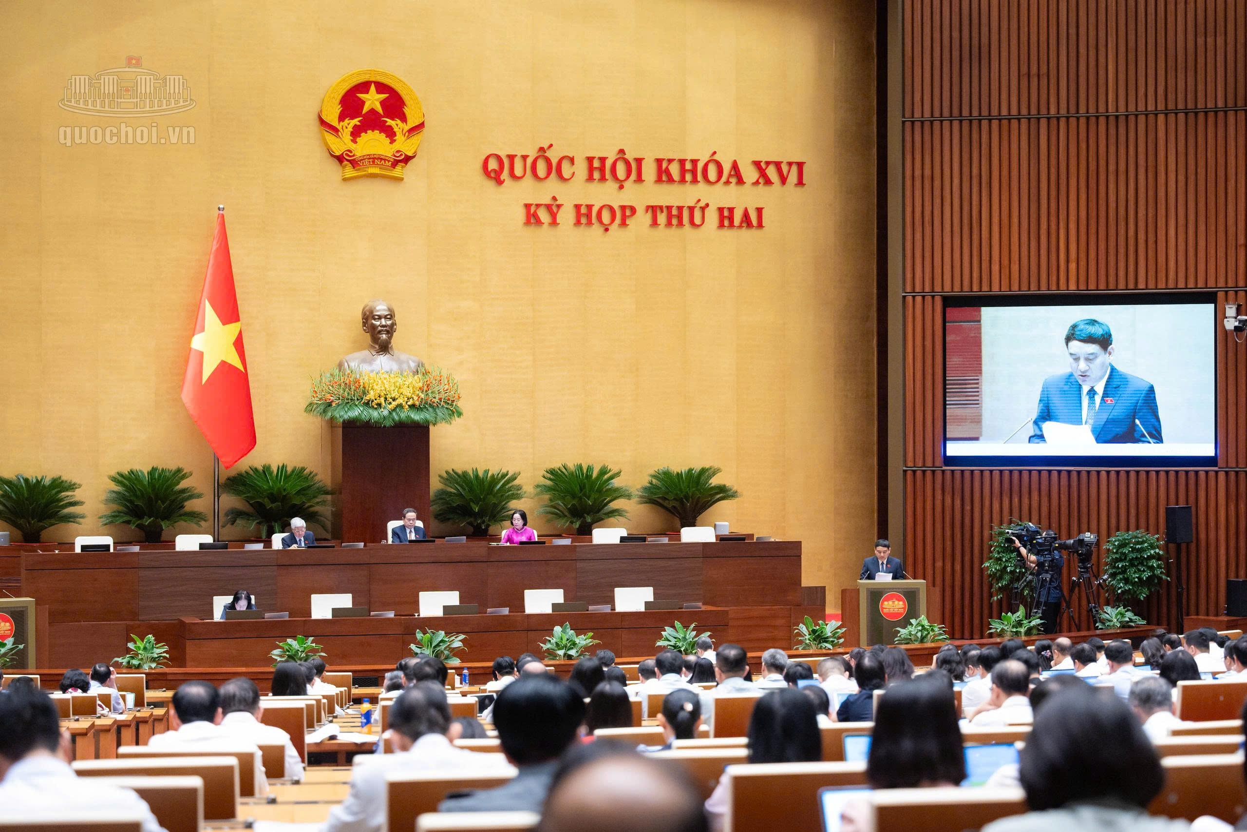 hiến m&ocirc; tạng ảnh 2