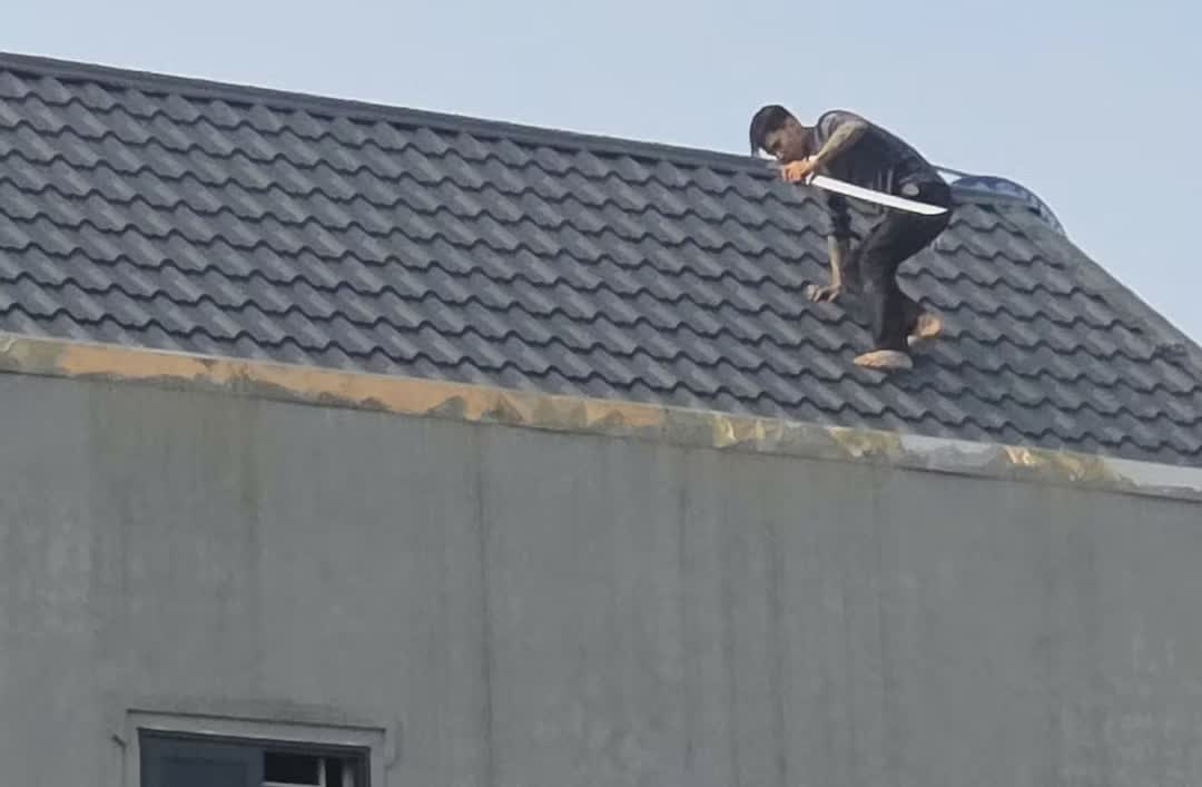 cầm kiếm cố thủ,  tr&ecirc;n m&aacute;i nh&agrave; ảnh 1