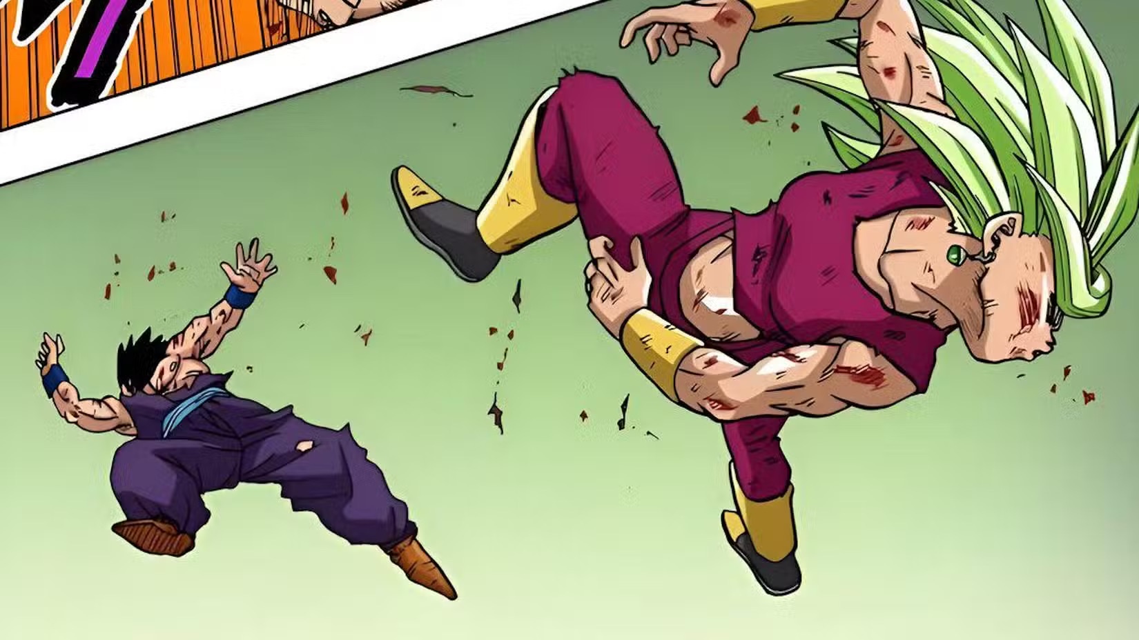 Gohan ảnh 3