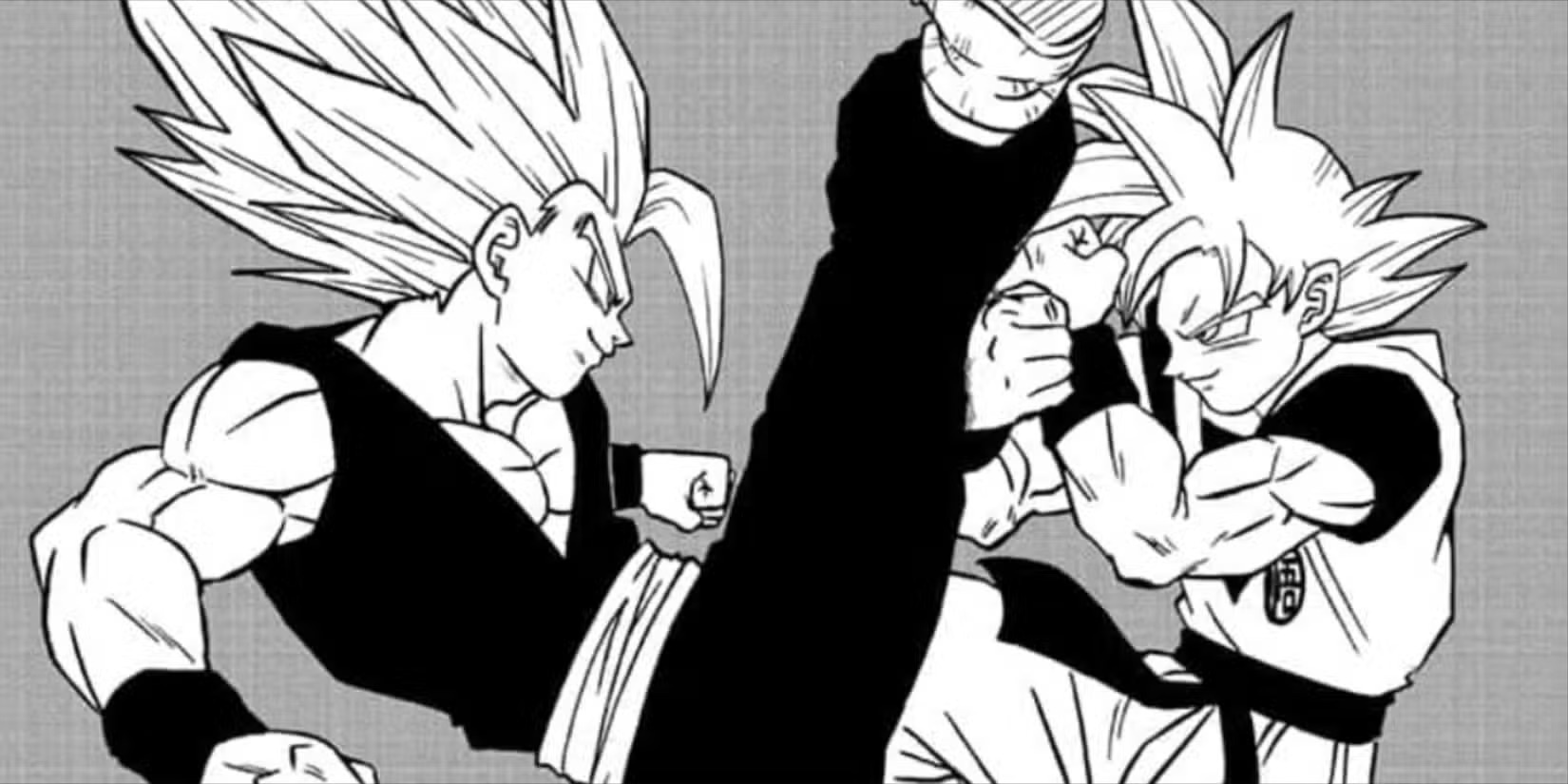 Gohan ảnh 7