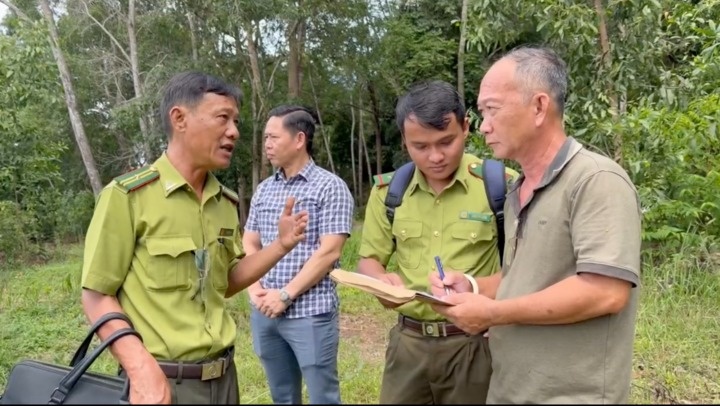 kiểm l&acirc;m ảnh 2