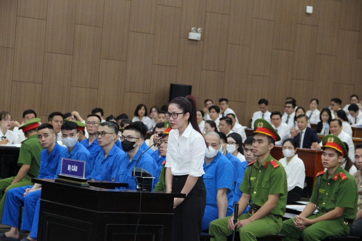 mr pips ảnh 1