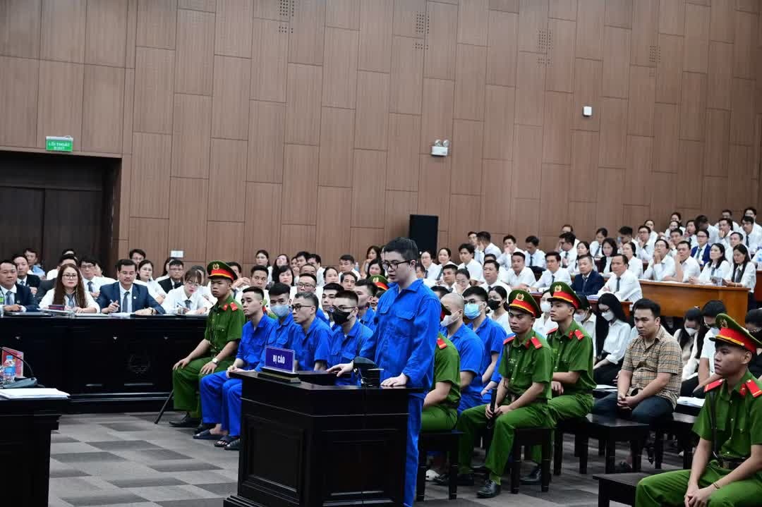 Cha,  mẹ Mr Pips ảnh 1