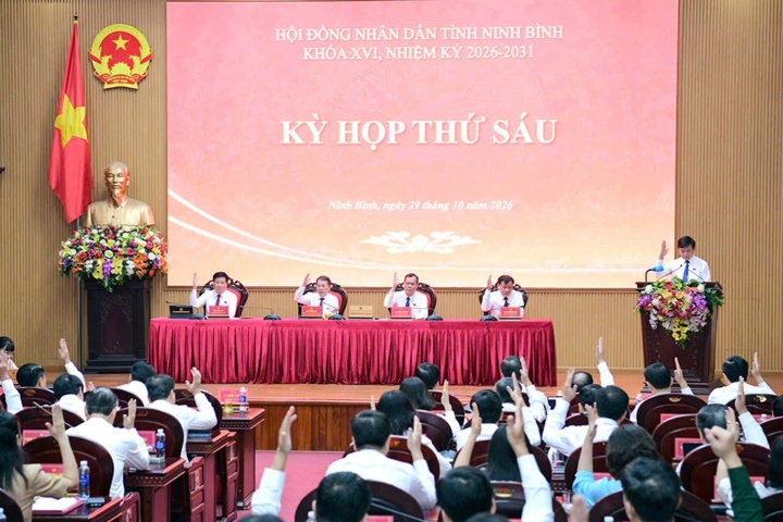 Ninh Bình giải thể Sở Ngoại vụ, hợp nhất 2 sở từ 1/12