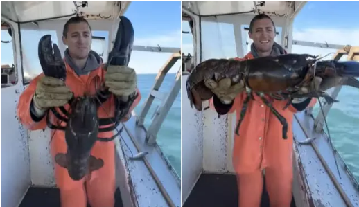 Ngu dan My bat duoc tom hum khong lo hon 100 tuoi hinh anh