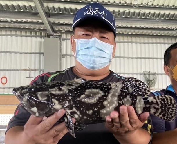 Sau trai dua, toi luot ca mu Dai Loan vao 'tam ngam' cua Trung Quoc hinh anh