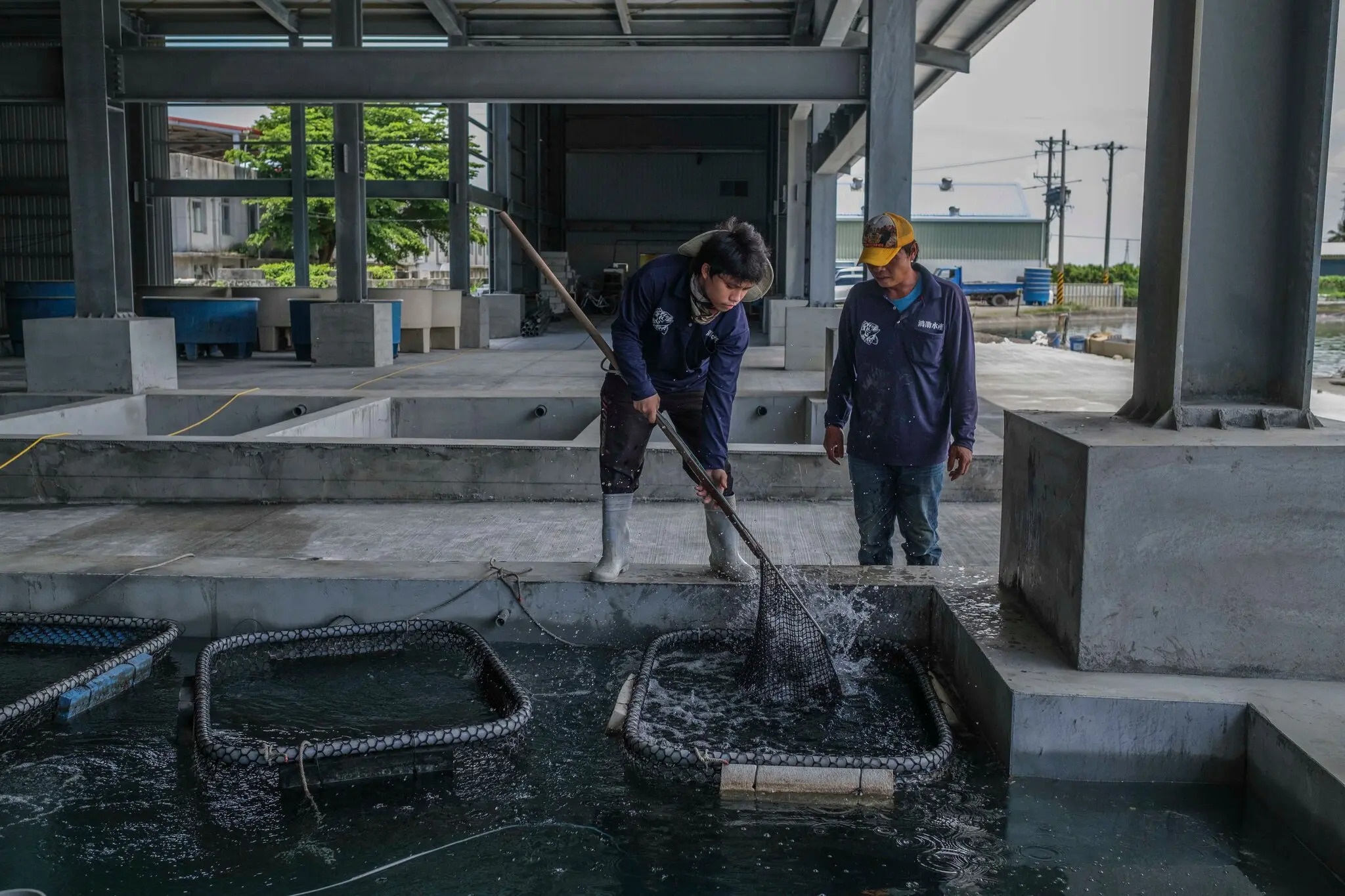 Trung Quoc cam nhap khau ca mu tu Dai Loan anh 2