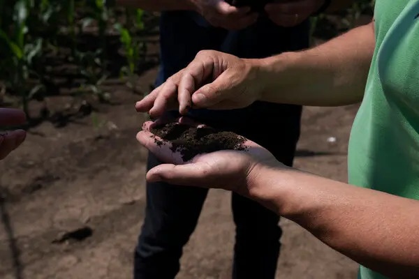 Romania co phai  loi giai cho khung hoang luong thuc toan cau? anh 4