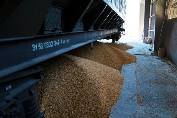 Romania co phai  loi giai cho khung hoang luong thuc toan cau? anh 6