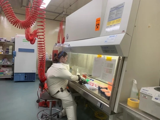 bien chung Covid-19 anh 1