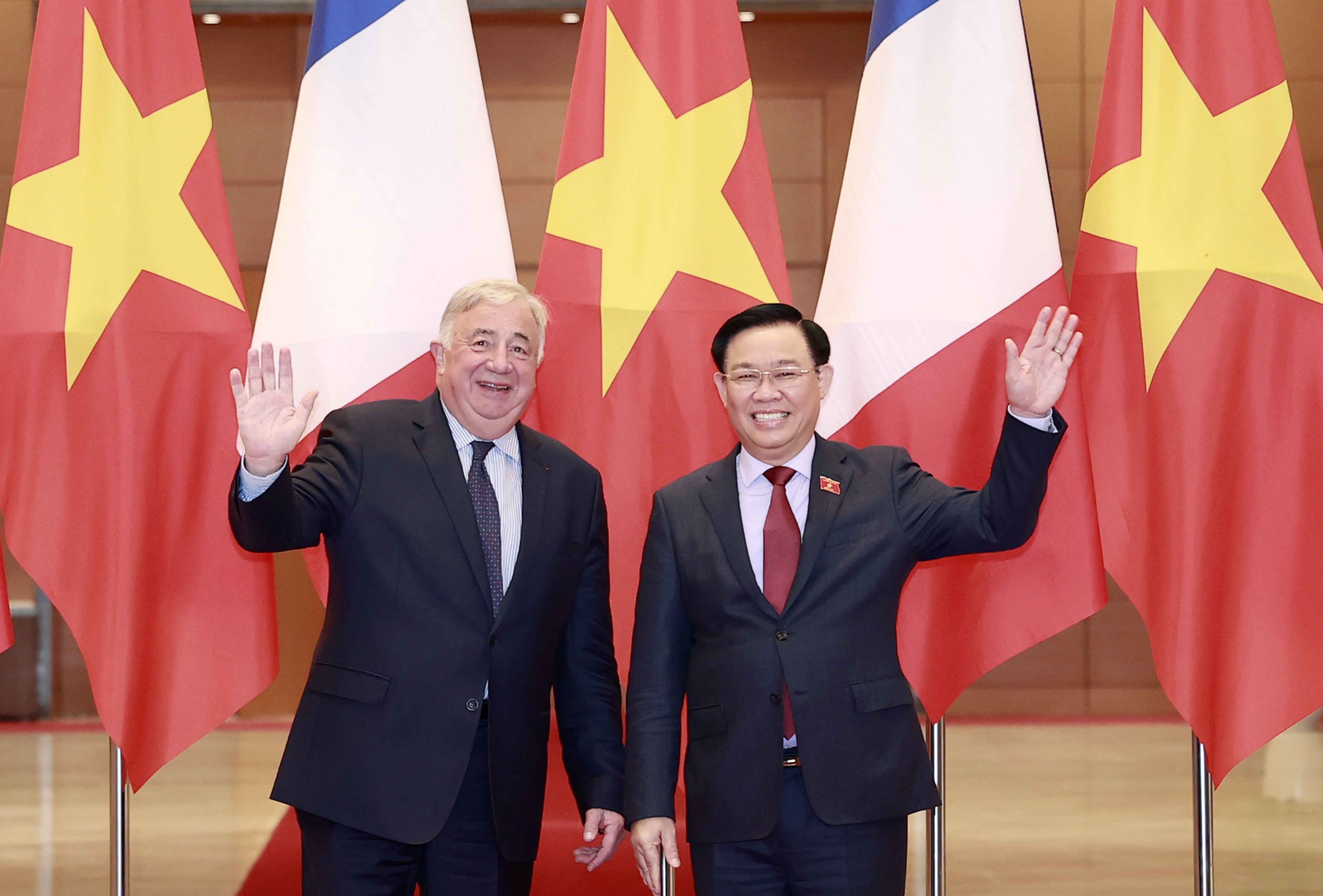 Thuc day quan he Viet - Phap ngay cang di vao chieu sau va thiet thuc hinh anh