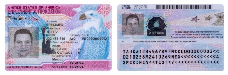 nhap cu vao My anh 2