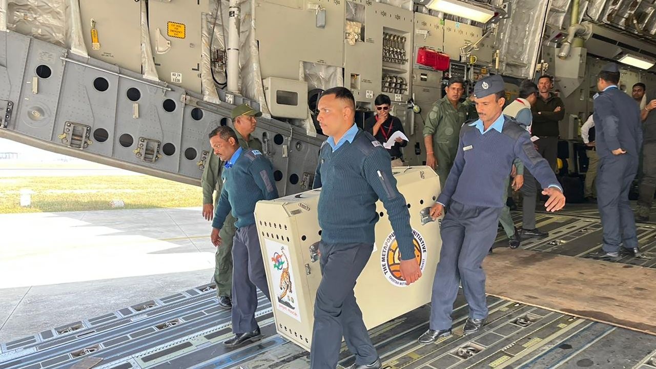 bao san tai An Do anh 1