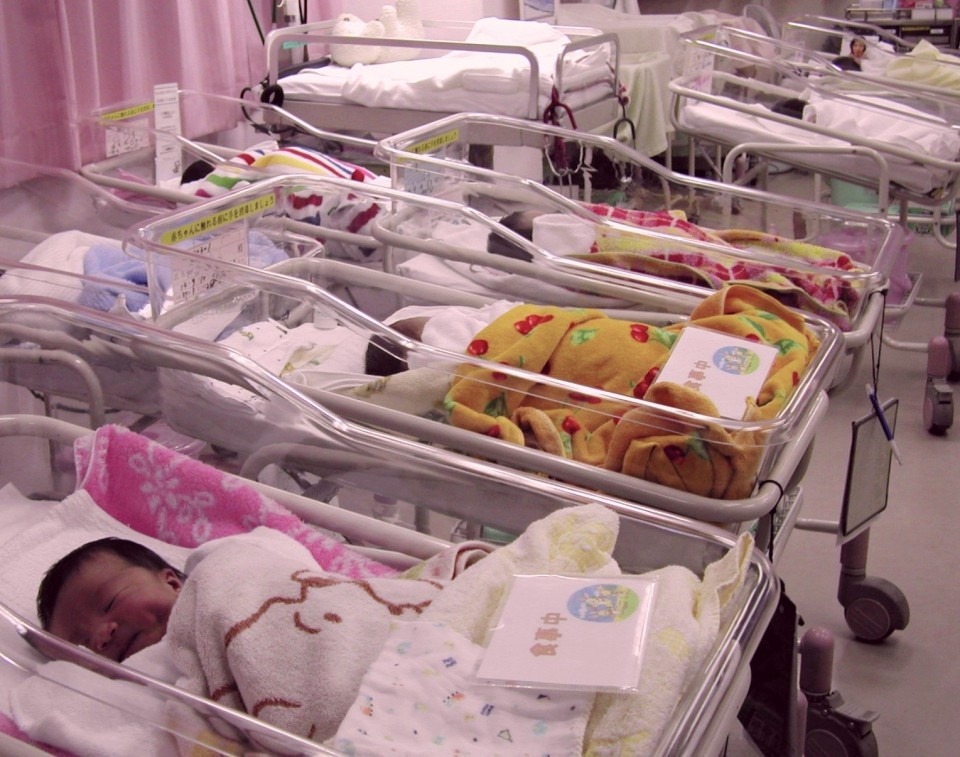 dan so Nhat Ban anh 3