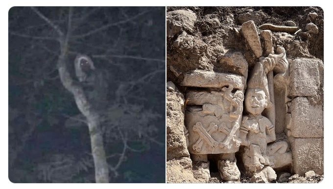 Tong thong Mexico dang anh 'yeu tinh' trong truyen thuyet Maya hinh anh