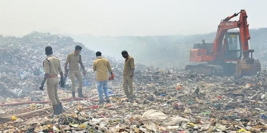 bai rac o An Do anh 1