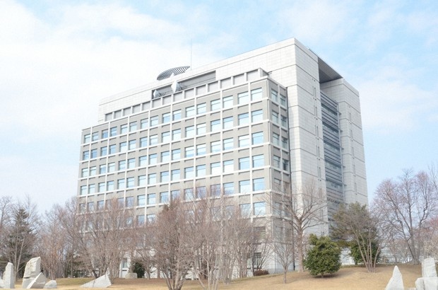 Mot nguoi Viet Nam qua doi sau khi bi bat giu o Nhat Ban hinh anh