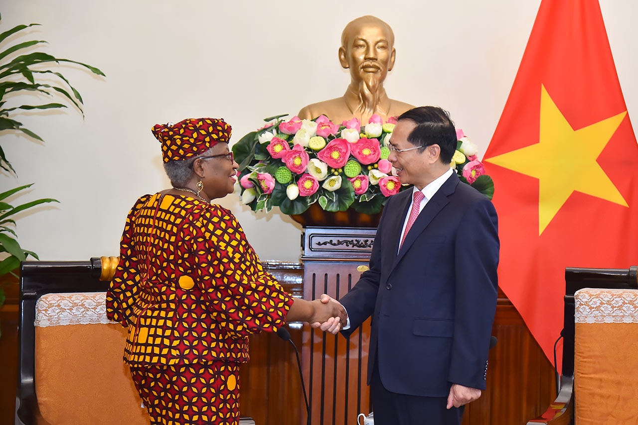 Tong giam doc WTO: Viet Nam la hinh mau tot cua su phat trien hinh anh