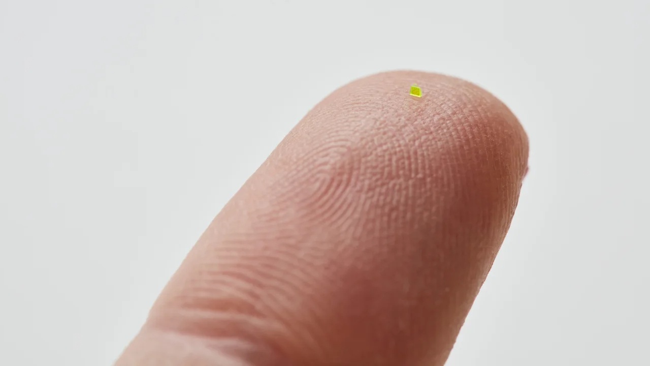 Chiec tui xach 'nho hon hat muoi' duoc ban voi gia 63.000 USD hinh anh