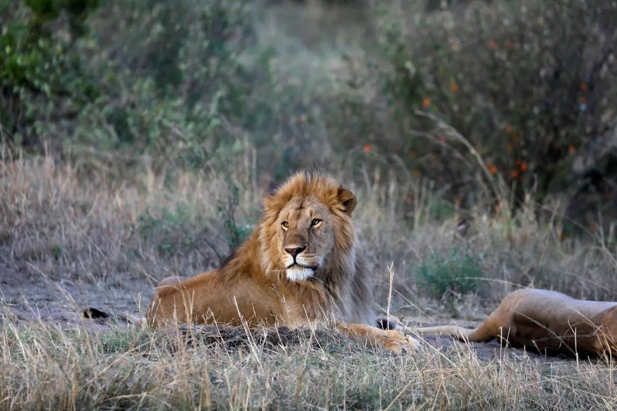 Anh an tuong tuan qua tu the gioi hoang da hinh anh