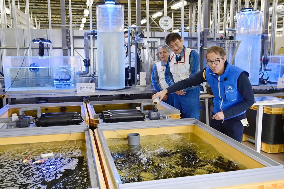 Trung Quoc cam nhap khau thuc pham tu 10 tinh cua Nhat hinh anh