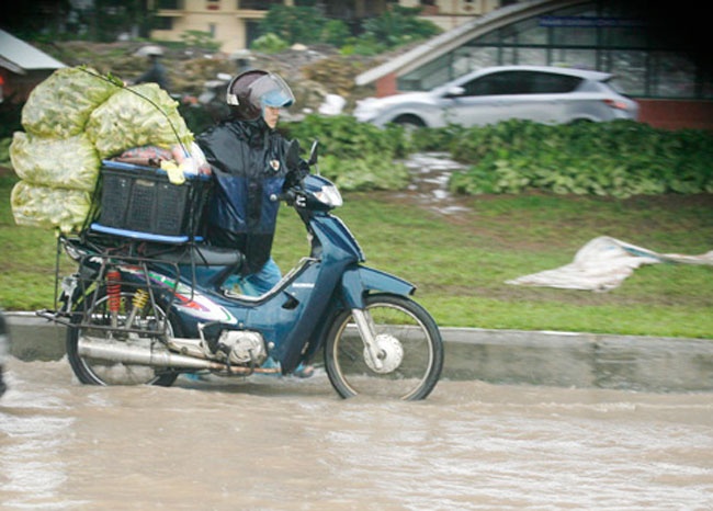 Di cho ho hut khach ngay mua bao hinh anh