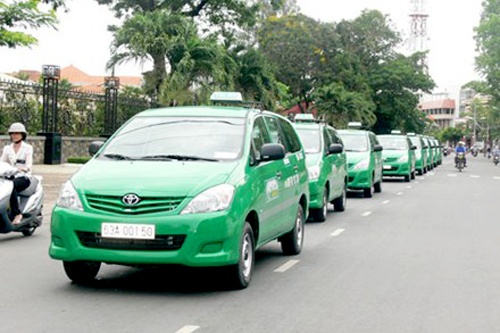 CEO Mai Linh tu chuc sau 1 tuan ngoi ghe nong hinh anh