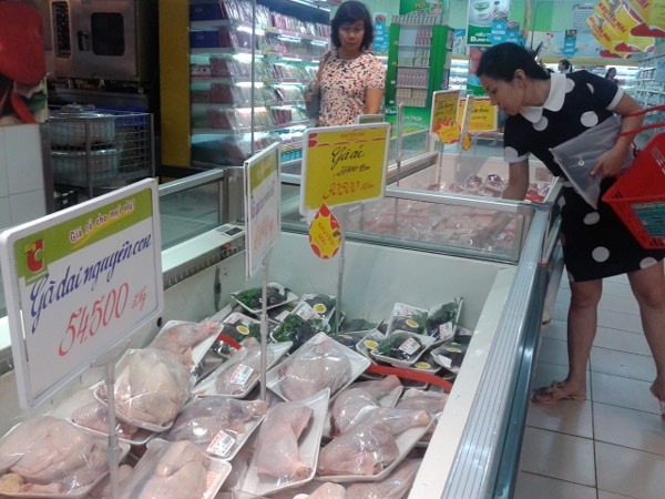 Nguoi dan van chuong ga thai loai Han Quoc hinh anh