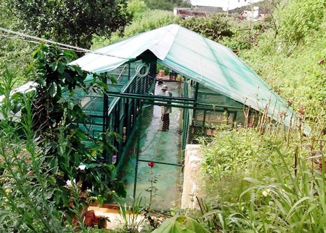 Can canh trang trai ca phe chon 42 ty dong tai Da Lat hinh anh